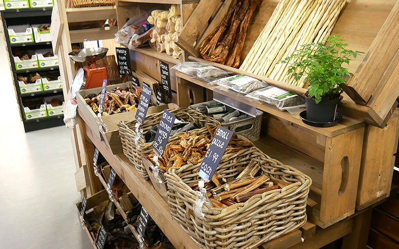 What’s Really in Your Dog’s Food?