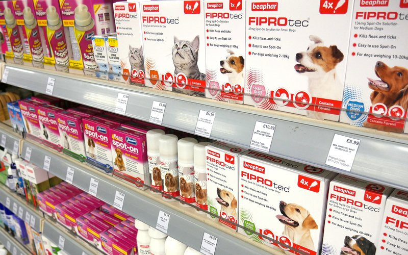 Fleas and Your Pet
