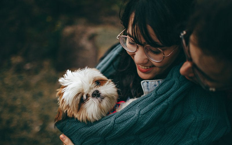 Natural World's top 5 tips for keeping your dog healthy