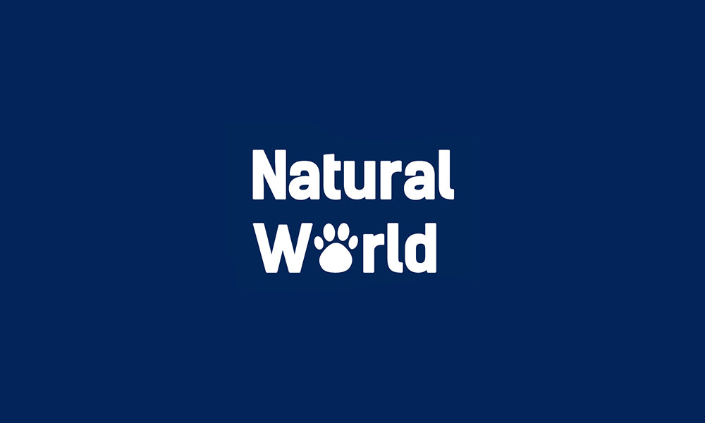 Guide To Caring For Milk Or King Snakes