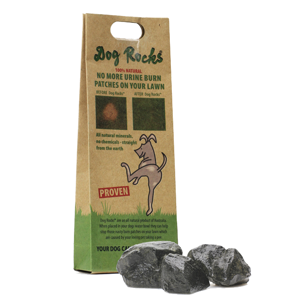 Dog Rocks
