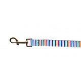 Doodlebone Summer Lead Stripes