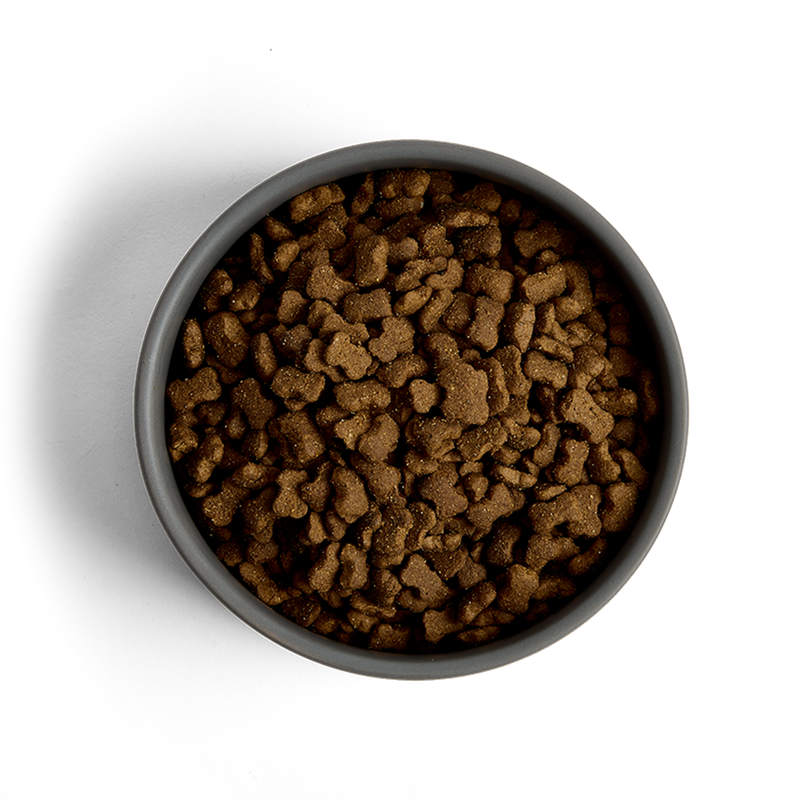 MORE First Steps Chicken All Breed Puppy Dry Food