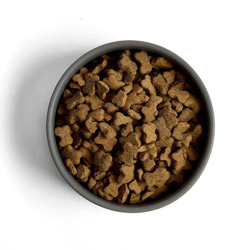 MORE First Steps Chicken Large Breed Puppy Dry Food