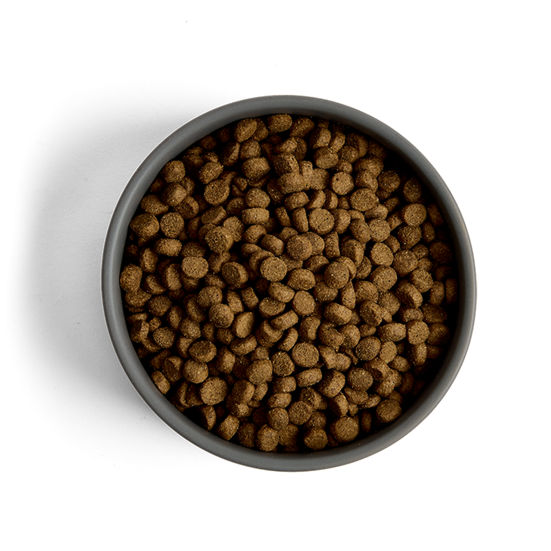 MORE Support Chicken Small Breed Dog Dry Food