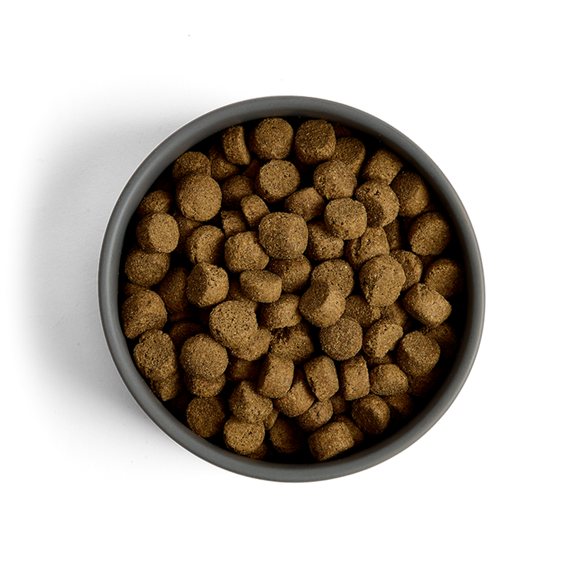 MORE Support Chicken All Breed Dog Dry Food