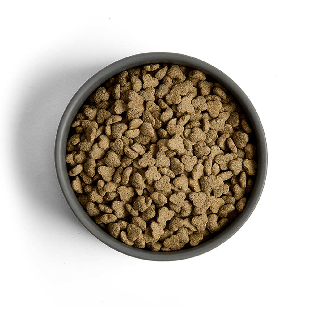 MORE Lighter Chicken All Breed Dog Dry Food