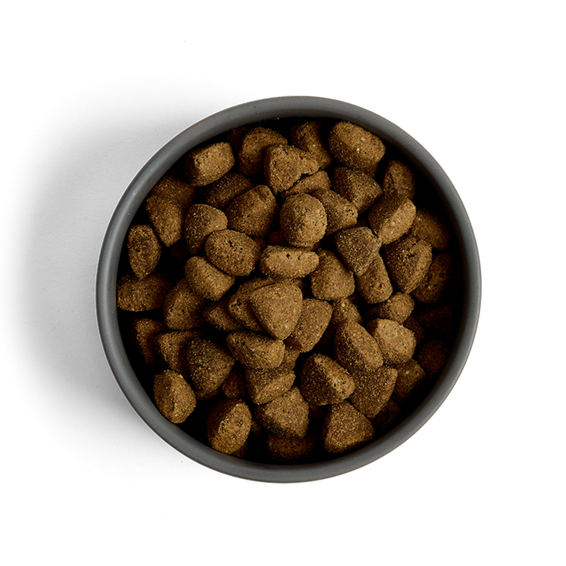 MORE Support Chicken Large Breed Dog Dry Food