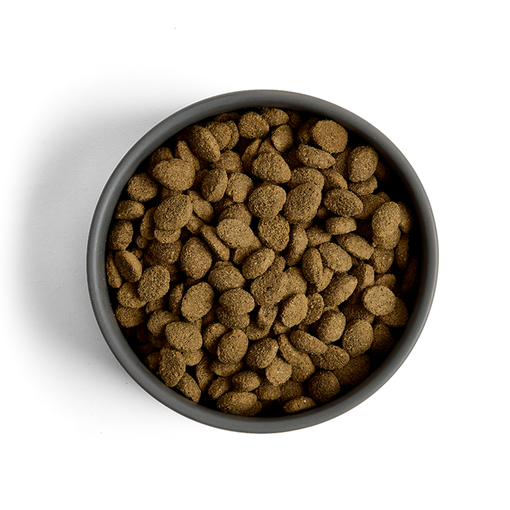 MORE Senior Chicken All Breed Dog Dry Food