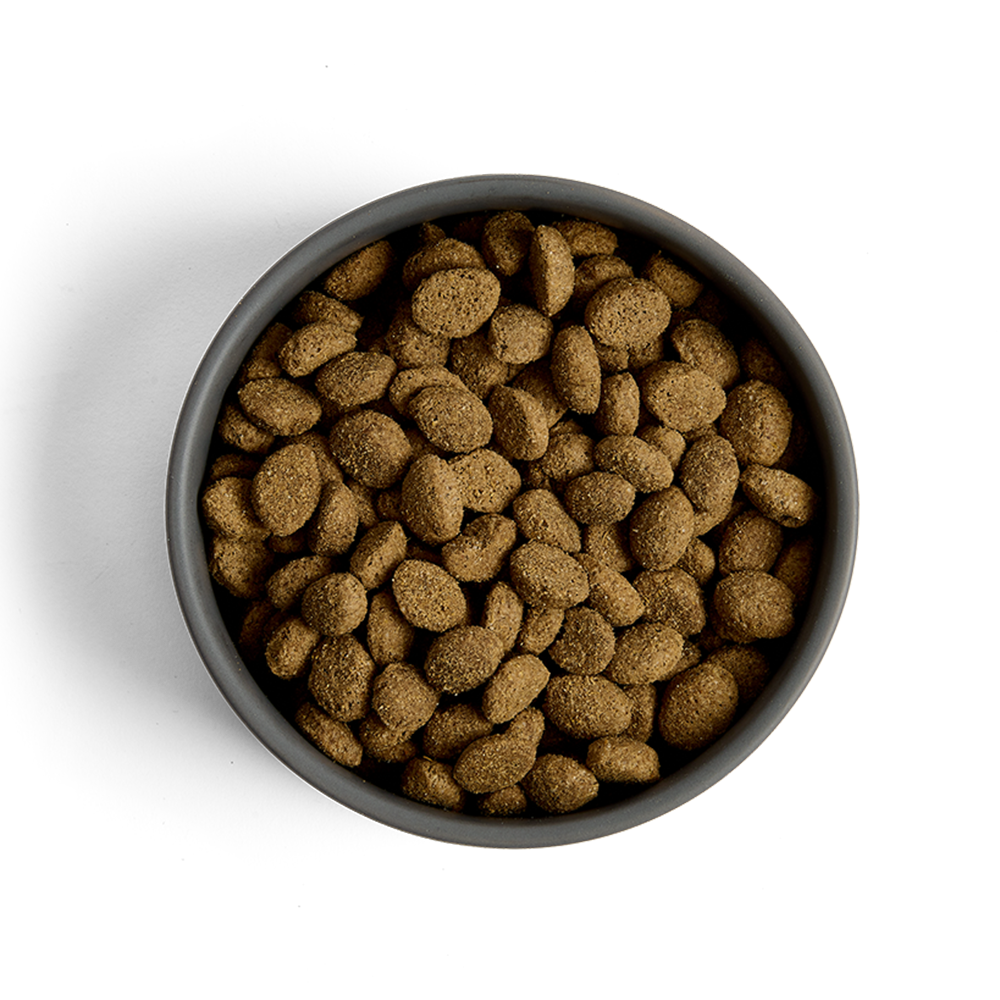 MORE Senior Chicken Large Breed Dog Dry Food