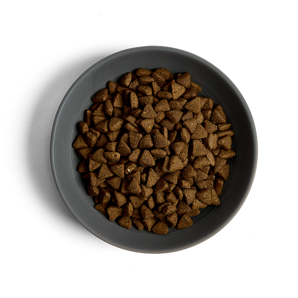 MORE Support Chicken Adult Cat Dry Food
