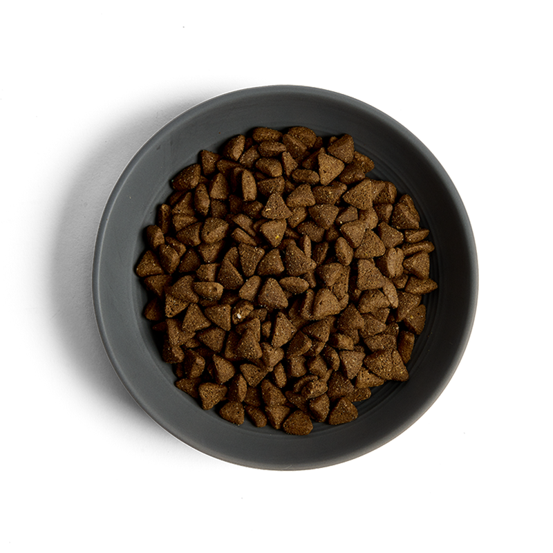 MORE Support Chicken Adult Cat Dry Food