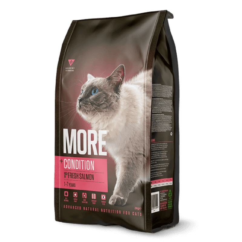 MORE Condition Salmon Adult Cat Dry Food