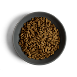 MORE Condition Salmon Adult Cat Dry Food