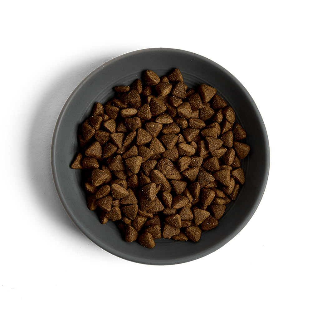 MORE Condition Lamb Adult Cat Dry Food