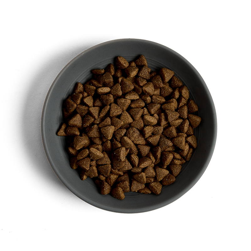 MORE Condition Lamb Adult Cat Dry Food