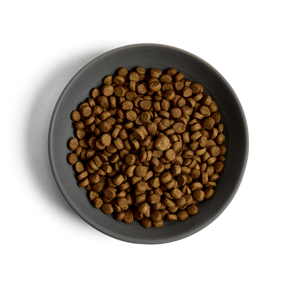 MORE Lighter Chicken Adult Cat Dry Food