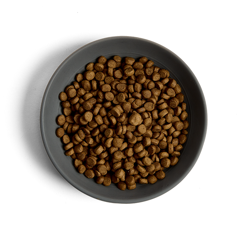 MORE Lighter Chicken Adult Cat Dry Food