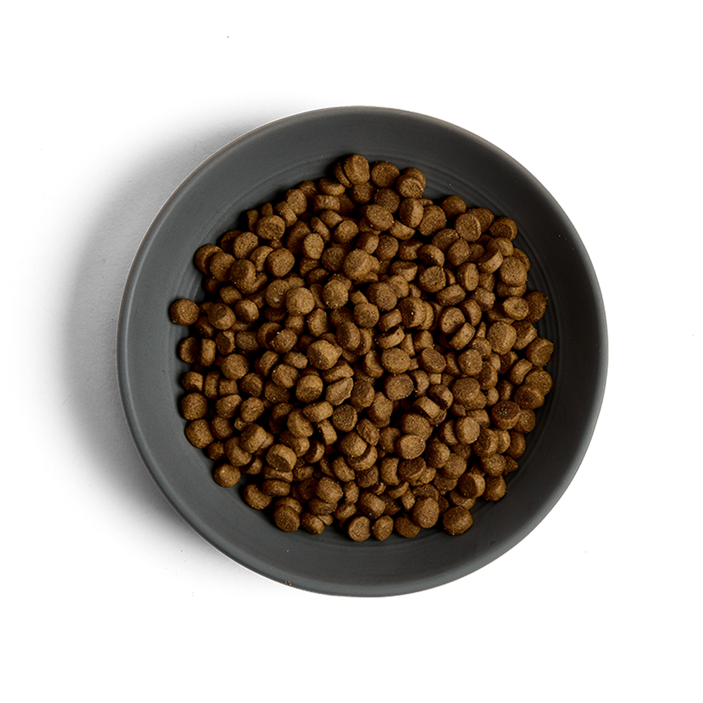 MORE Hairball Chicken Adult Cat Dry Food