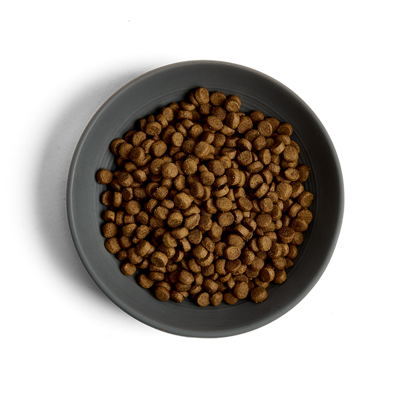 MORE Hairball Chicken Adult Cat Dry Food