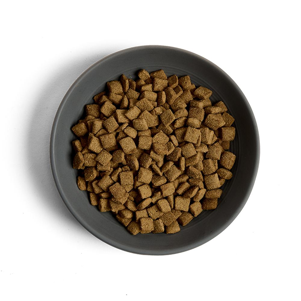 MORE Senior Chicken Cat Dry Food