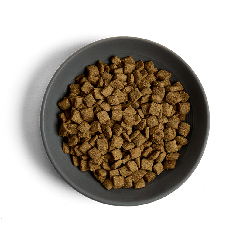 MORE Senior Chicken Cat Dry Food