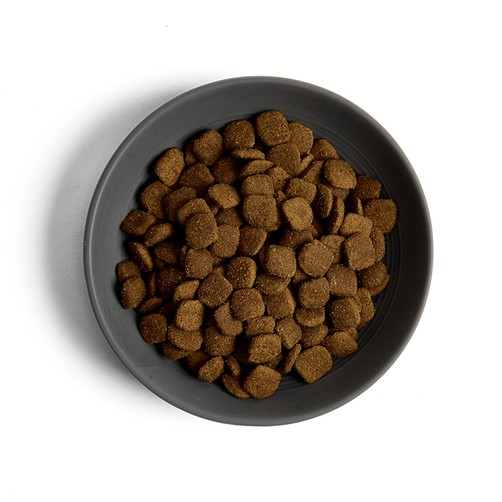 MORE Oral Care Chicken Adult Cat Dry Food