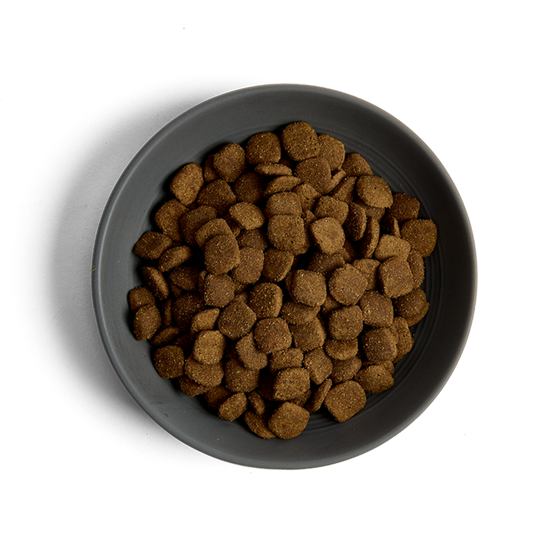 MORE Oral Care Chicken Adult Cat Dry Food