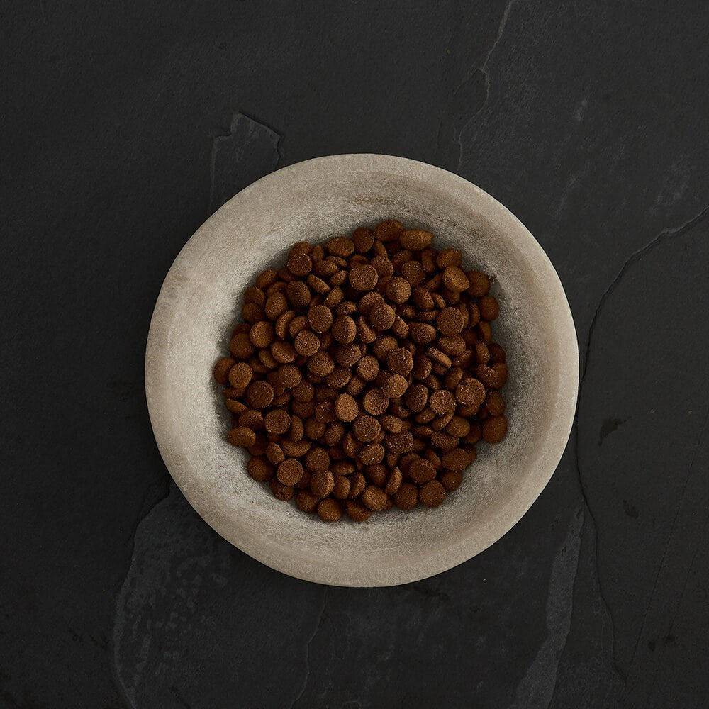 Canagan Dental Dry Cat Food