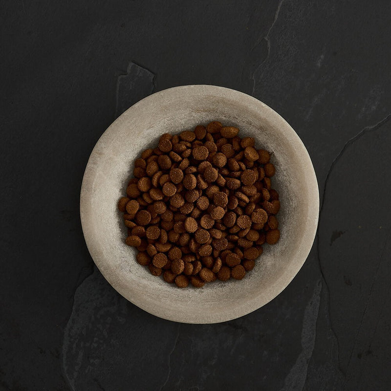Canagan Dental Dry Cat Food