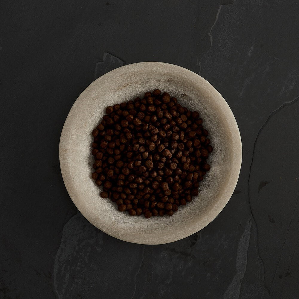 Canagan Scottish Salmon Dry Cat Food