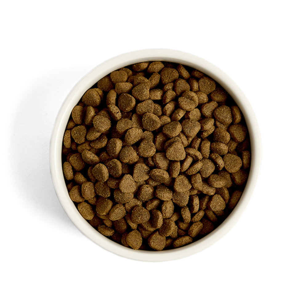 GreenAcres Turkey & Rice Adult Dry Dog Food