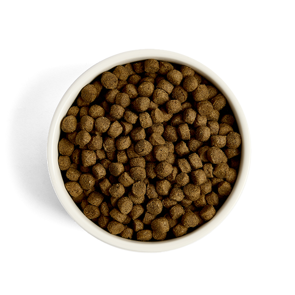GreenAcres Lamb & Rice Adult Dry Dog Food