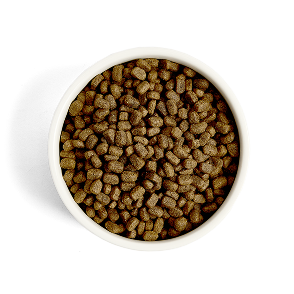 GreenAcres Lamb & Rice Small Breed Dry Dog Food