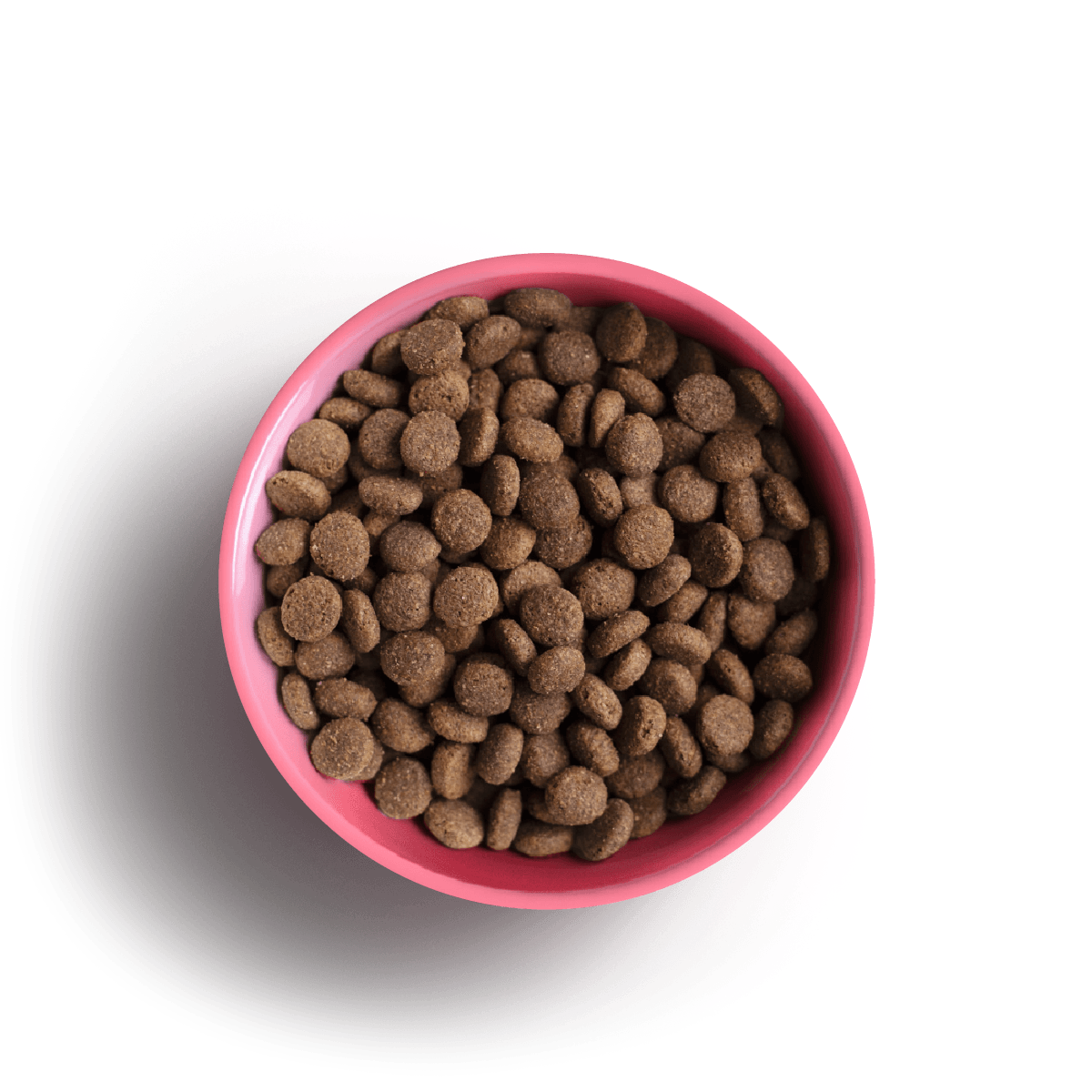 Yora Insect Protein Adult Cat Complete Dry Food