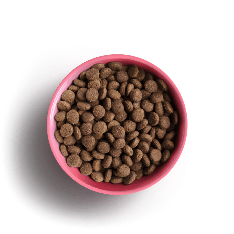 Yora Insect Protein Adult Cat Complete Dry Food