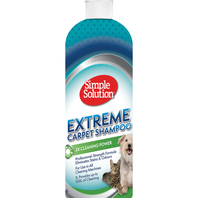 Carpet Shampoo