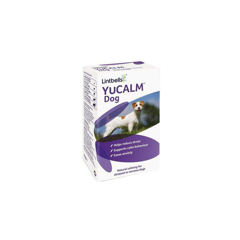 Yucalm Dog