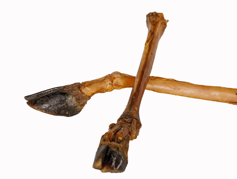 Deerbone with Hoof