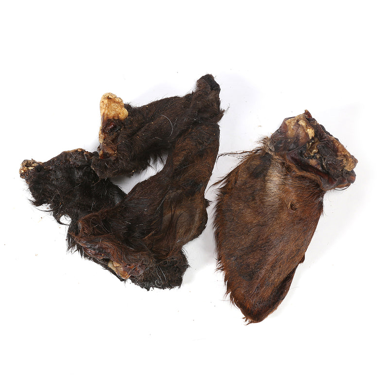 Primal Cow Ear