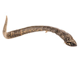 Goat Horn