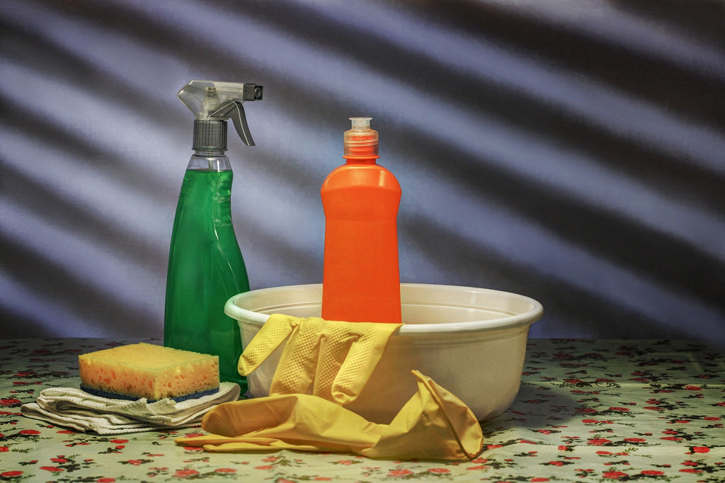 House Hold Cleaners & Cats, the Dangers in Your Home
