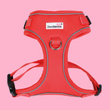 Doodlebone Coral Airmesh Harness