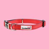 Doodlebone Padded Collar Coral