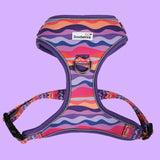 Doodlebone Dune Airmesh Harness