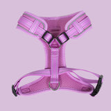 Doodlebone Orchid Airmesh Harness