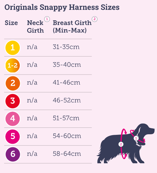 Doodlebone harness sales