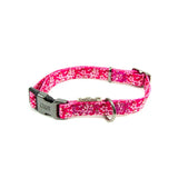 Great & Small Penrose Blossom Dog Collar