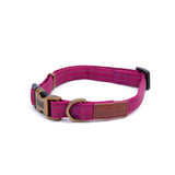 Pink dog collar in a country style