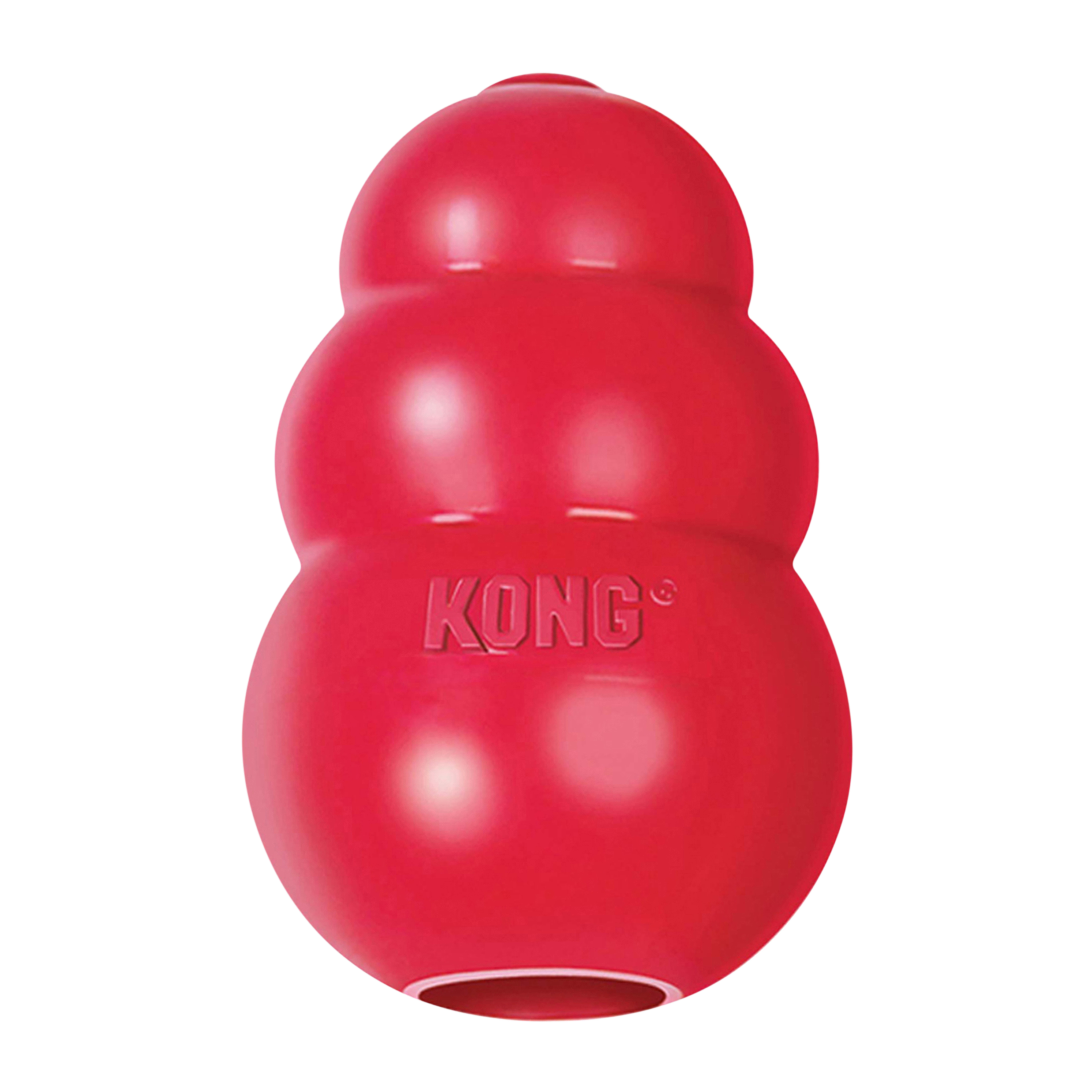 Kong balls deals for big dogs